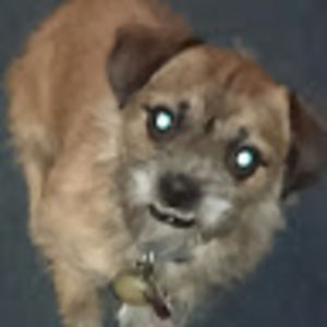 Meet your Posher, Edy